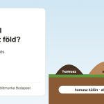 Hová kerül a kitermelt föld? Depózás, visszatöltés és elszállítás a gyakorlatban
